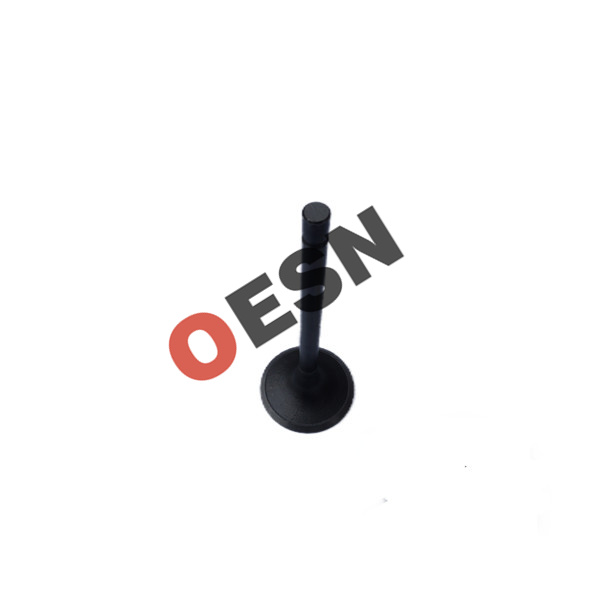 Inlet Valve ESN10017  OEM8971713980 8970338641 8943951120
