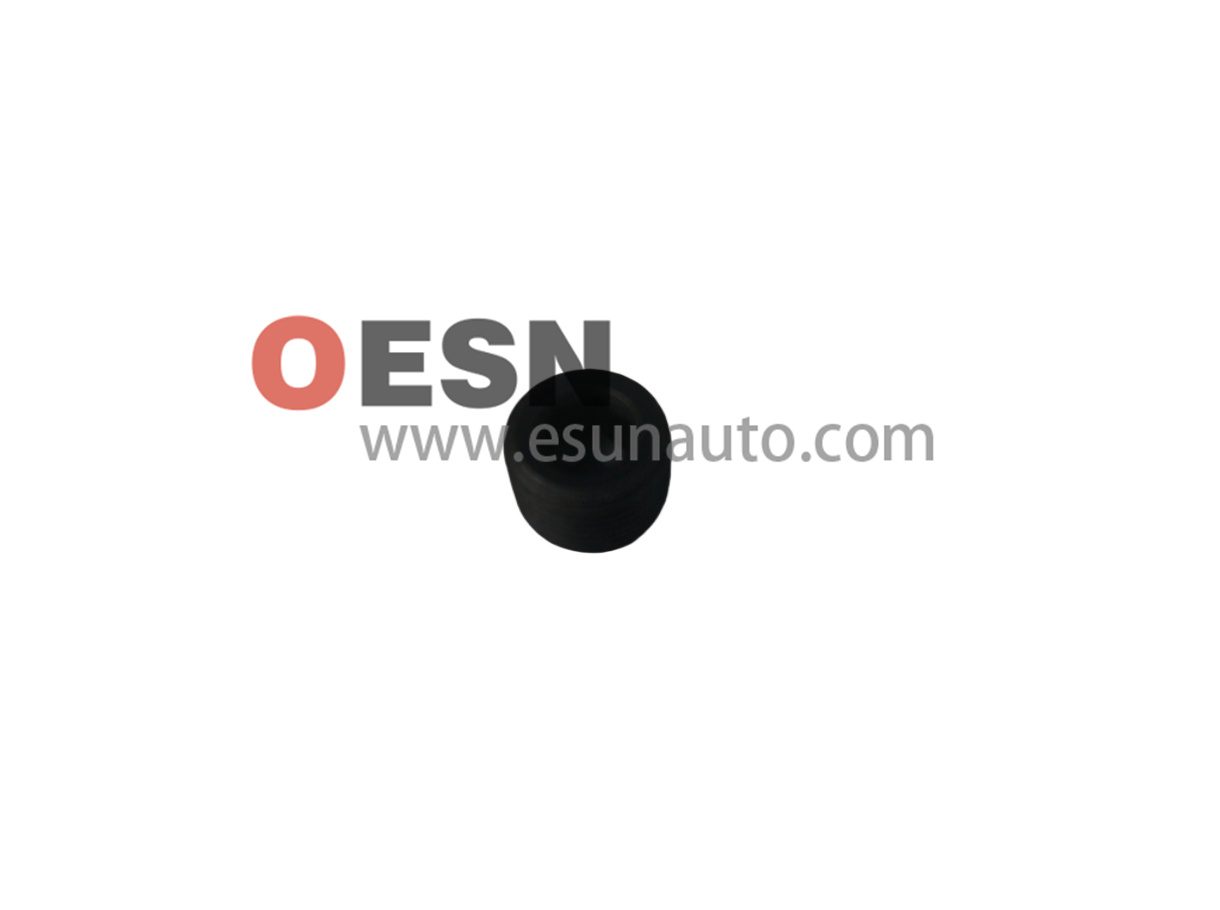 Cylinder head cap ESN10129  OEM8970968240