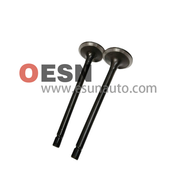 Exhaust valve 4HK1 ESN10132  OEM8972098763