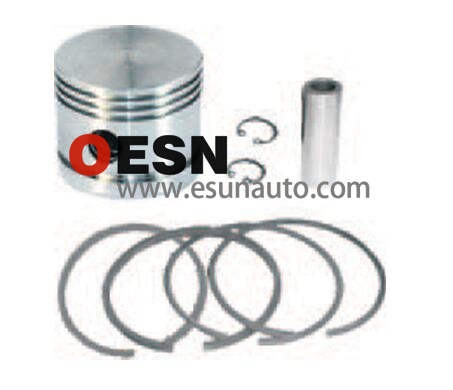 Compressor Piston Asy  ESN40069