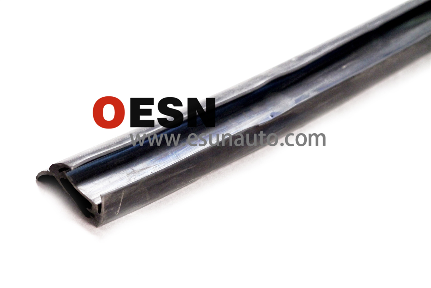 Door seal ; pasangers ESN100013